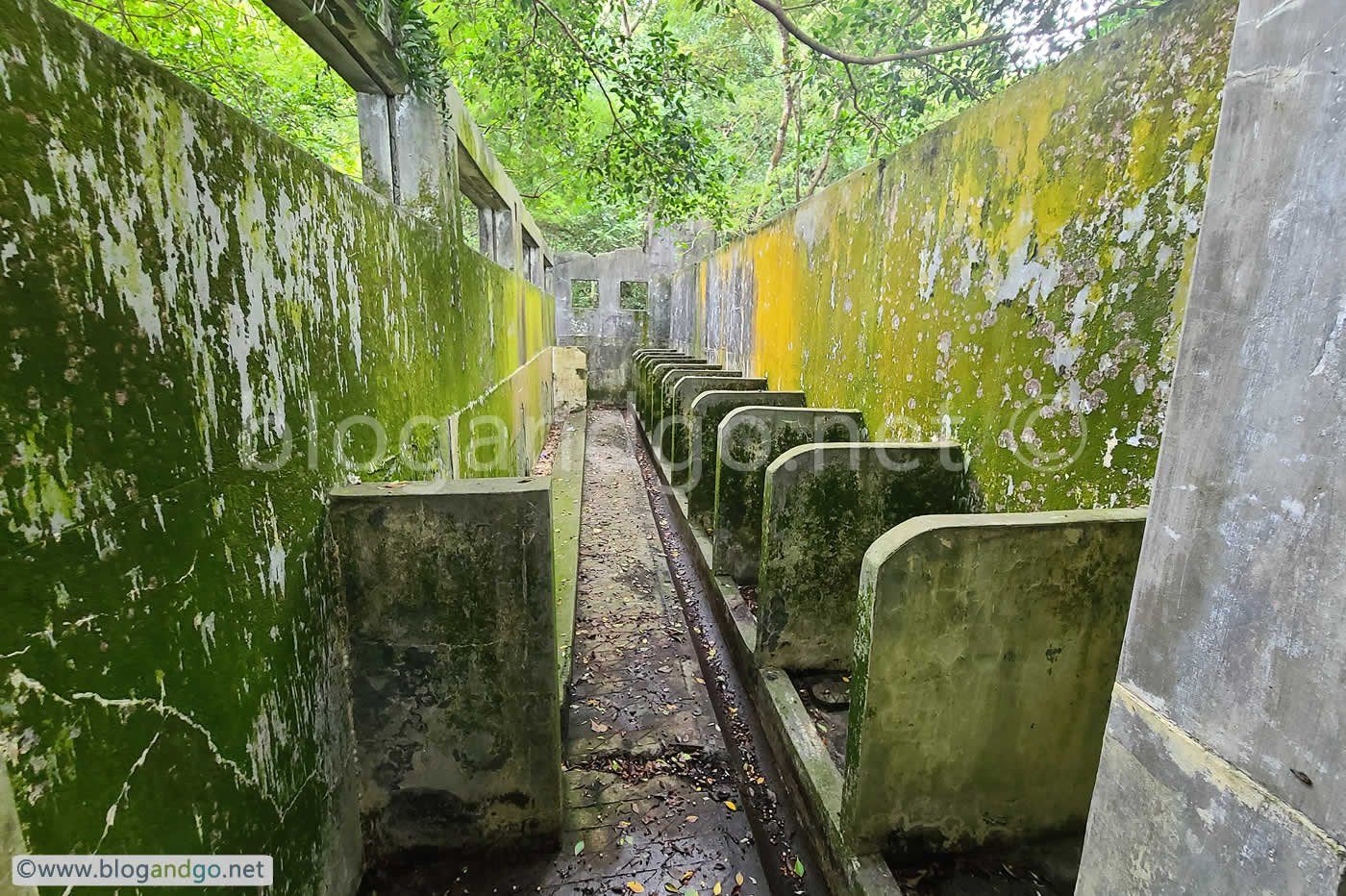 Mount Davis Battery - Dilapidated Structures